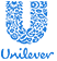 Case Unilever